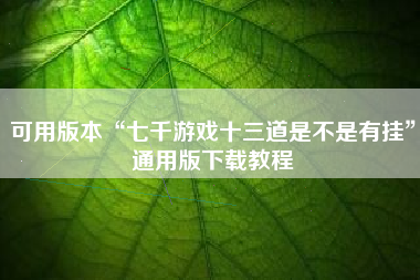 可用版本“七千游戏十三道是不是有挂	”通用版下载教程