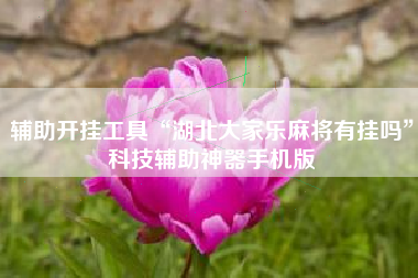 辅助开挂工具“湖北大家乐麻将有挂吗”科技辅助神器手机版