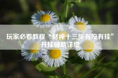 玩家必看教程“财神十三张有没有挂”开挂辅助详细