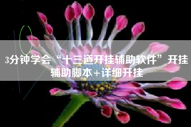 3分钟学会“十三道开挂辅助软件	”开挂辅助脚本+详细开挂