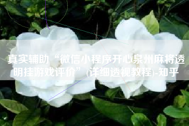 真实辅助“微信小程序开心泉州麻将透明挂游戏评价”(详细透视教程)-知乎