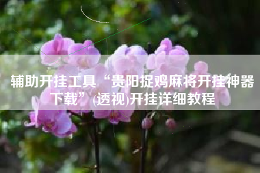 辅助开挂工具“贵阳捉鸡麻将开挂神器下载	”(透视)开挂详细教程