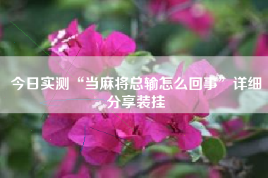 今日实测“当麻将总输怎么回事	”详细分享装挂