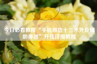 今日必看教程“手机微信十三水外卦辅助神器”开挂详细教程