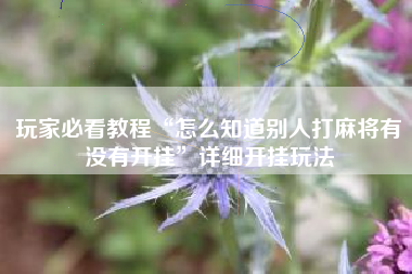 玩家必看教程“怎么知道别人打麻将有没有开挂	”详细开挂玩法