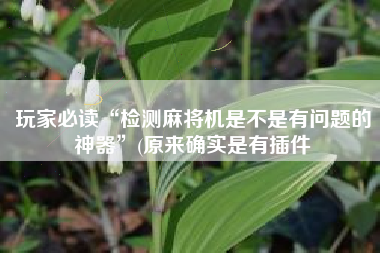 玩家必读“检测麻将机是不是有问题的神器	”(原来确实是有插件