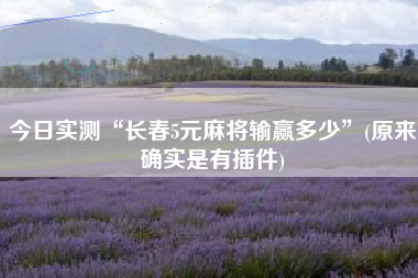 今日实测“长春5元麻将输赢多少”(原来确实是有插件)