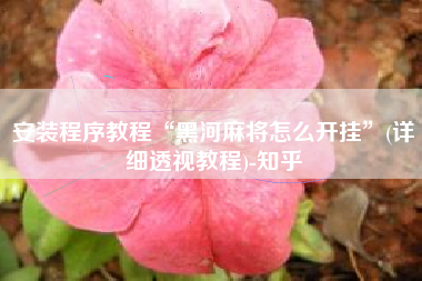 安装程序教程“黑河麻将怎么开挂”(详细透视教程)-知乎