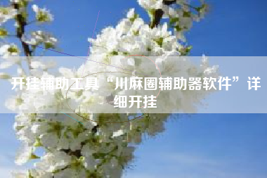 开挂辅助工具“川麻圈辅助器软件”详细开挂