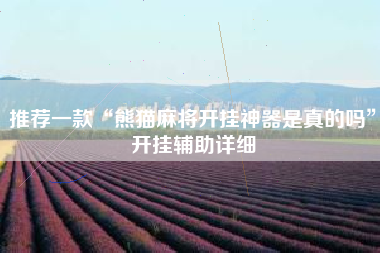 推荐一款“熊猫麻将开挂神器是真的吗”开挂辅助详细