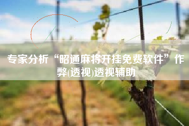 专家分析“昭通麻将开挂免费软件”作弊(透视)透视辅助