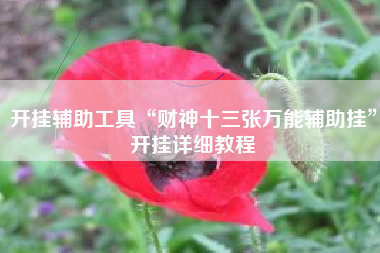 开挂辅助工具“财神十三张万能辅助挂	”开挂详细教程