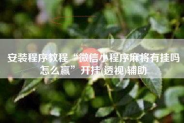 安装程序教程“微信小程序麻将有挂吗怎么赢”开挂(透视)辅助