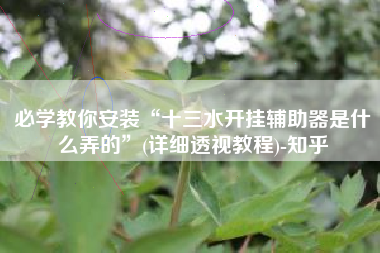 必学教你安装“十三水开挂辅助器是什么弄的”(详细透视教程)-知乎