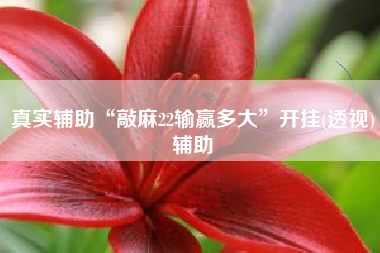 真实辅助“敲麻22输赢多大”开挂(透视)辅助