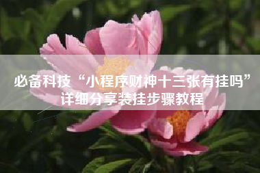 必备科技“小程序财神十三张有挂吗	”详细分享装挂步骤教程