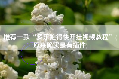 推荐一款“多乐跑得快开挂视频教程”(原来确实是有插件)