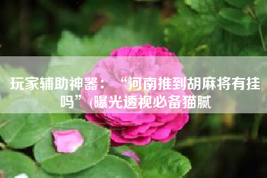 玩家辅助神器：“河南推到胡麻将有挂吗”(曝光透视必备猫腻