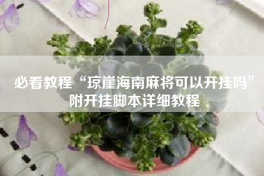 必看教程“琼崖海南麻将可以开挂吗”附开挂脚本详细教程