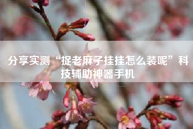 分享实测“捉老麻子挂挂怎么装呢	”科技辅助神器手机