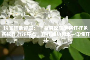 玩家辅助神器：“海南琼崖麻将开挂免费软件游戏亮点	”开挂辅助脚本+详细开挂