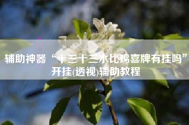 辅助神器“十三十三水比鸡喜牌有挂吗”开挂(透视)辅助教程