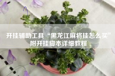 开挂辅助工具“黑龙江麻将挂怎么买”附开挂脚本详细教程