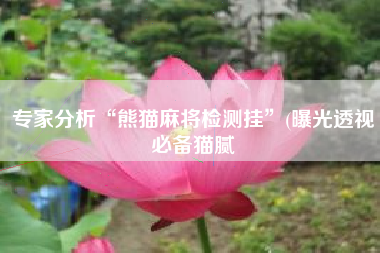 专家分析“熊猫麻将检测挂	”(曝光透视必备猫腻