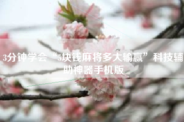 3分钟学会“5块钱麻将多大输赢	”科技辅助神器手机版