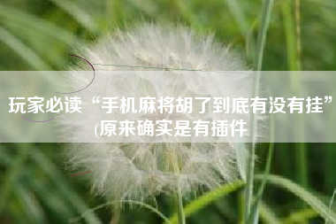 玩家必读“手机麻将胡了到底有没有挂”(原来确实是有插件