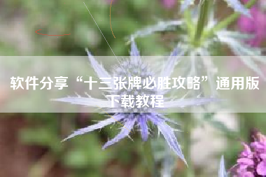 软件分享“十三张牌必胜攻略”通用版下载教程