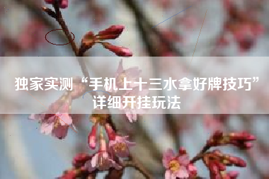 独家实测“手机上十三水拿好牌技巧	”详细开挂玩法