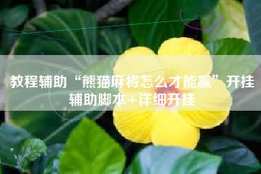 教程辅助“熊猫麻将怎么才能赢”开挂辅助脚本+详细开挂