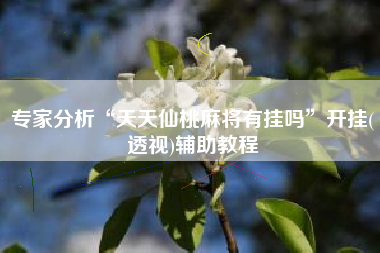 专家分析“天天仙桃麻将有挂吗	”开挂(透视)辅助教程