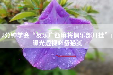 3分钟学会“友乐广西麻将俱乐部开挂”(曝光透视必备猫腻