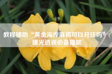 教程辅助“黄金海岸麻将可以开挂吗”(曝光透视必备猫腻