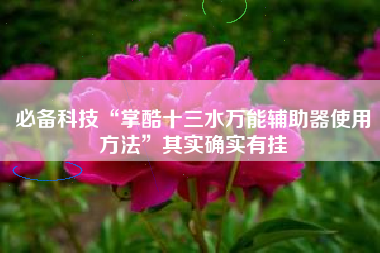 必备科技“掌酷十三水万能辅助器使用方法”其实确实有挂