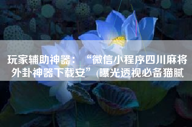 玩家辅助神器：“微信小程序四川麻将外卦神器下载安	”(曝光透视必备猫腻