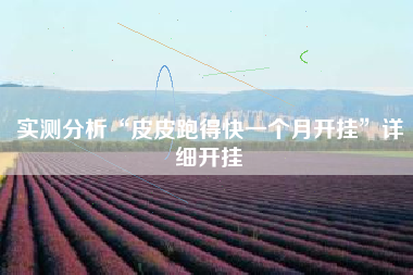 实测分析“皮皮跑得快一个月开挂”详细开挂