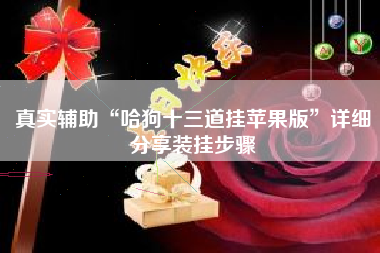 真实辅助“哈狗十三道挂苹果版”详细分享装挂步骤