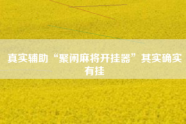 真实辅助“聚闲麻将开挂器	”其实确实有挂