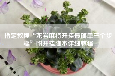指定教程“龙岩麻将开挂最简单三个步骤	”附开挂脚本详细教程