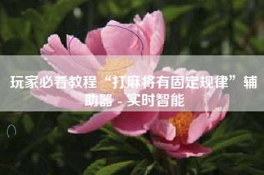 玩家必看教程“打麻将有固定规律”辅助器 - 实时智能