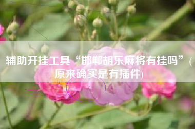 辅助开挂工具“邯郸胡乐麻将有挂吗	”(原来确实是有插件)