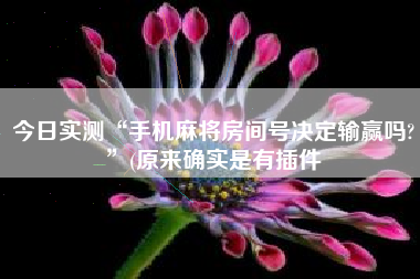 今日实测“手机麻将房间号决定输赢吗?”(原来确实是有插件
