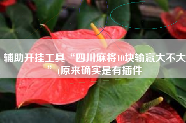 辅助开挂工具“四川麻将10块输赢大不大”(原来确实是有插件