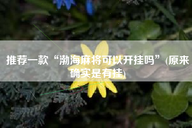 推荐一款“渤海麻将可以开挂吗”(原来确实是有挂)