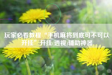 玩家必看教程“手机麻将到底可不可以开挂”开挂(透视)辅助神器