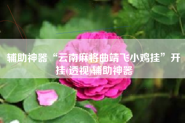 辅助神器“云南麻将曲靖飞小鸡挂”开挂(透视)辅助神器