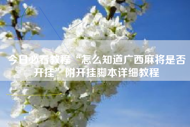 今日必看教程“怎么知道广西麻将是否开挂”附开挂脚本详细教程